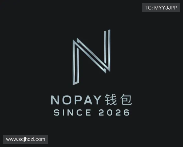 介绍NOPAY钱包